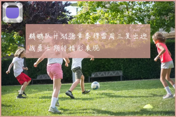鹈鹕队计划德章泰穆雷周三复出迎战勇士期待精彩表现