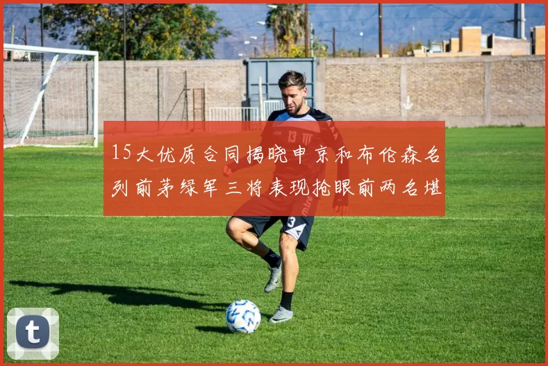 15大优质合同揭晓申京和布伦森名列前茅绿军三将表现抢眼前两名堪称传奇